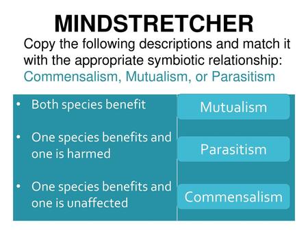 MINDSTRETCHER Mutualism Parasitism Commensalism