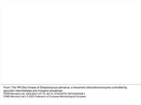 3 HPr phosphorylation by HPrK/P in the presence of Pi and (A) FBP or (B) PEP. The reaction medium was as in Fig. 2 with 1 mM ATP. The reaction medium contained.