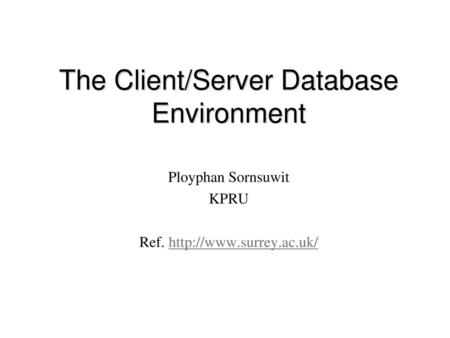 The Client/Server Database Environment