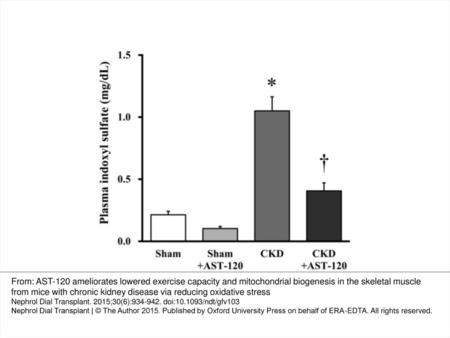 FIGURE 1: Plasma levels of indoxyl sulfate (IS) in four groups: Sham, Sham + AST-120, CKD and CKD + AST-120 mice (n = 12 for each group). Data are expressed.