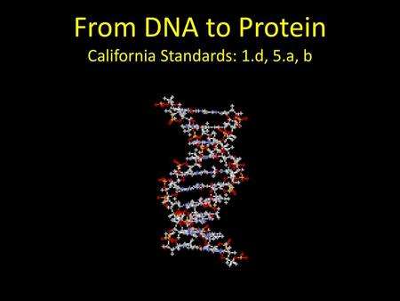 From DNA to Protein California Standards: 1.d, 5.a, b