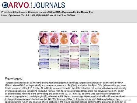 Invest. Ophthalmol. Vis. Sci ;48(2): doi: /iovs Figure Legend: