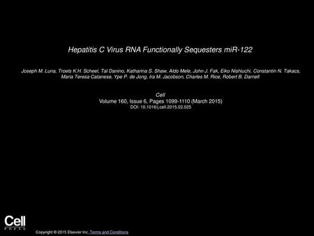 Hepatitis C Virus RNA Functionally Sequesters miR-122