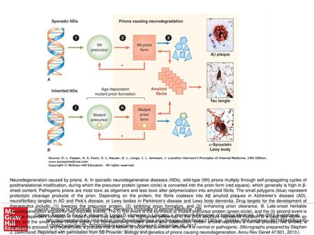 Neurodegeneration caused by prions. A