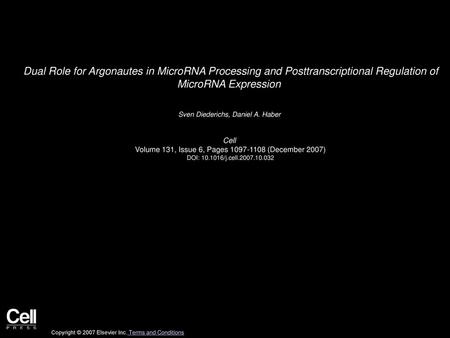 Dual Role for Argonautes in MicroRNA Processing and Posttranscriptional Regulation of MicroRNA Expression  Sven Diederichs, Daniel A. Haber  Cell  Volume.