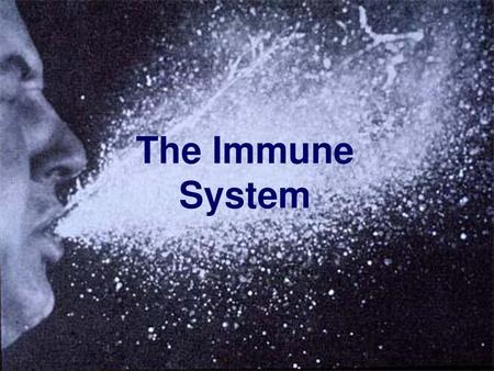 The Immune System.