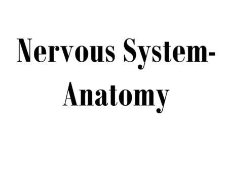 Nervous System-Anatomy