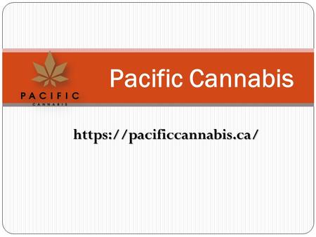 Https://pacificcannabis.ca/ Pacific Cannabis. Pacific Cannabis - pacificcannabis.ca Order the finest pre-rolled joints online from Pacific Cannabis. Simply.