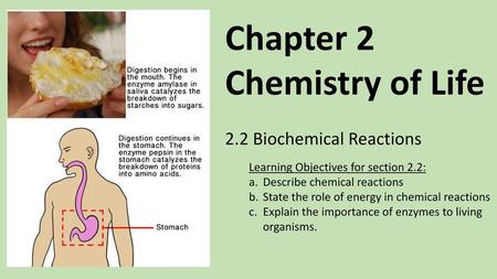 Chapter 2 Chemistry of Life 2.2 Biochemical Reactions