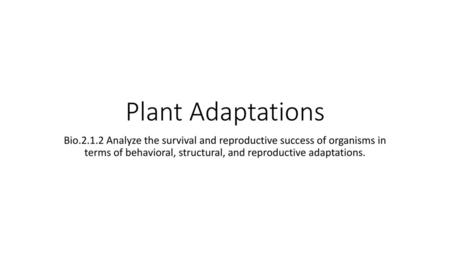 Plant Adaptations Bio.2.1.2 Analyze the survival and reproductive success of organisms in terms of behavioral, structural, and reproductive adaptations.