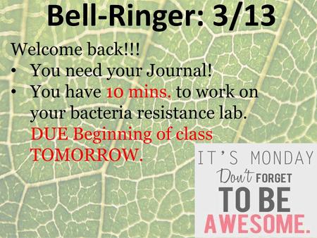 Bell-Ringer: 3/13 Welcome back!!! You need your Journal!