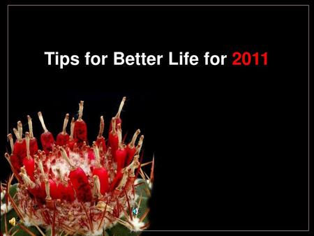 Tips for Better Life for 2011