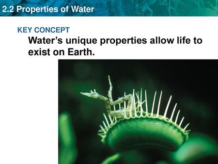 KEY CONCEPT Water’s unique properties allow life to exist on Earth.