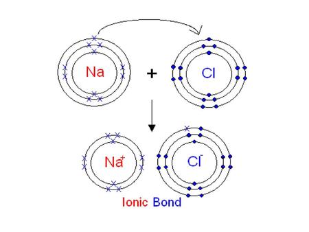 The Water Molecule: Covalent Bonding