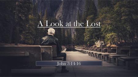 A Look at the Lost John 3:14-16.