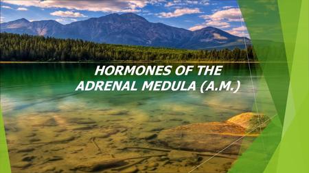 HORMONES OF THE ADRENAL MEDULA (A.M.)