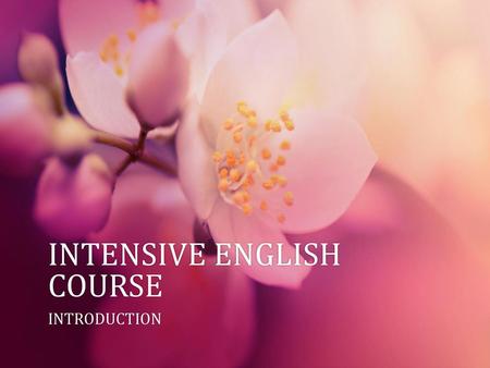 INTENSIVE ENGLISH COURSE