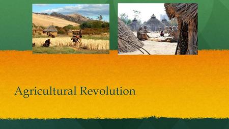 Agricultural Revolution