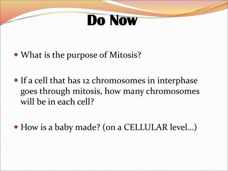 Do Now What is the purpose of Mitosis?