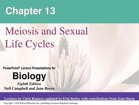 Meiosis and Sexual Life Cycles