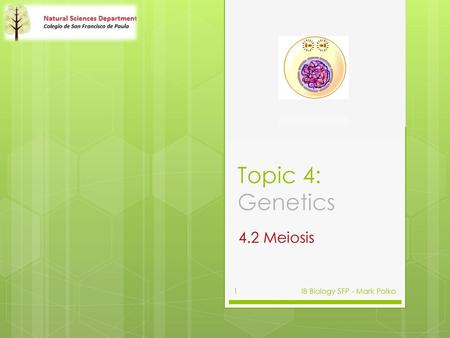 Topic 4: Genetics 4.2 Meiosis  IB Biology SFP - Mark Polko.