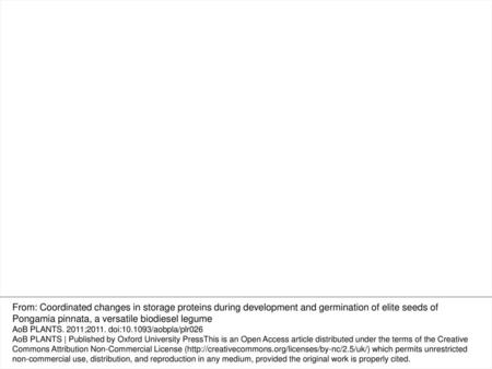 Fig. 1 Stages of development of P