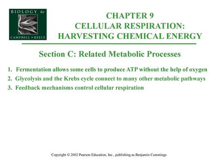 CHAPTER 9 CELLULAR RESPIRATION: HARVESTING CHEMICAL ENERGY