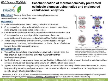 BRC Science Highlight Saccharification of thermochemically pretreated cellulosic biomass using native and engineered cellulosomal enzymes Objective To.