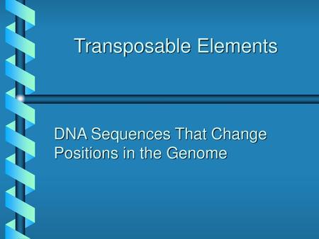 Transposable Elements