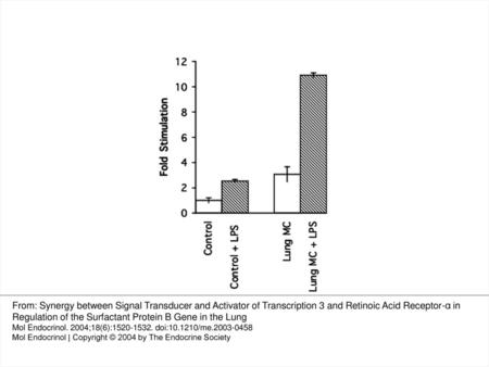 Fig. 1. Bronchoalveolar Macrophages Stimulate hSP-B 1