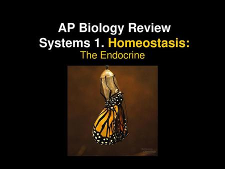 AP Biology Review Systems 1. Homeostasis: