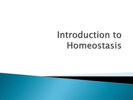 Introduction to Homeostasis