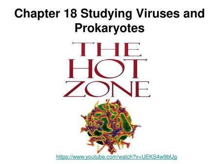 Chapter 18 Studying Viruses and Prokaryotes