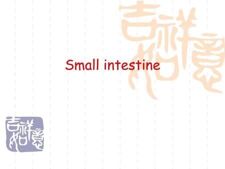 Small intestine.