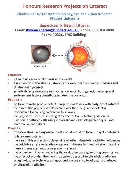 Honours Research Projects on Cataract