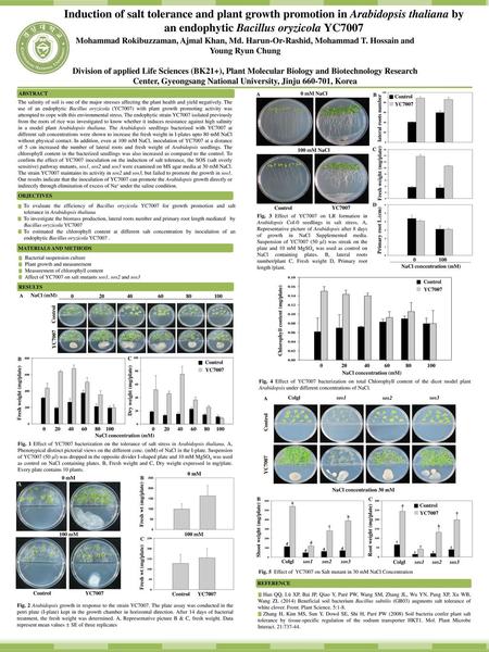 Induction of salt tolerance and plant growth promotion in Arabidopsis thaliana by an endophytic Bacillus oryzicola YC7007 Mohammad Rokibuzzaman, Ajmal.