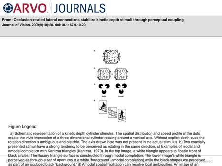 From: Occlusion-related lateral connections stabilize kinetic depth stimuli through perceptual coupling Journal of Vision. 2009;9(10):20. doi:10.1167/9.10.20.