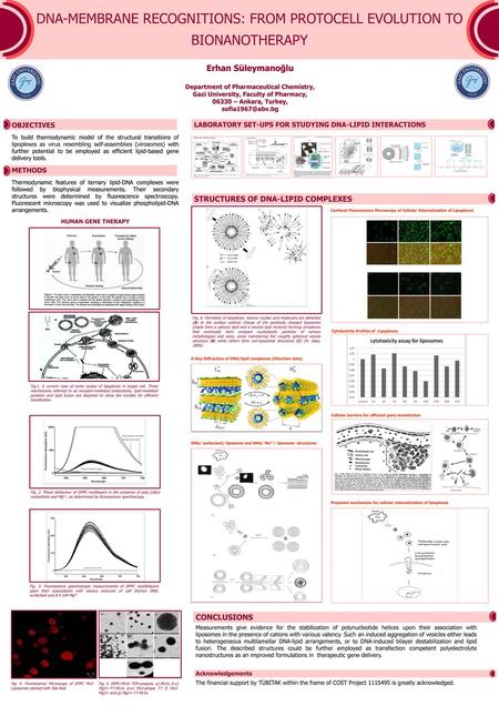 DNA-MEMBRANE RECOGNITIONS: FROM PROTOCELL EVOLUTION TO BIONANOTHERAPY