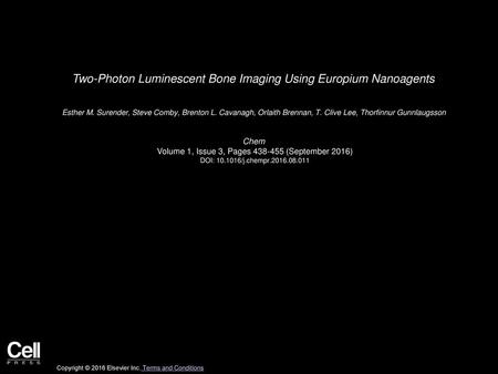 Two-Photon Luminescent Bone Imaging Using Europium Nanoagents