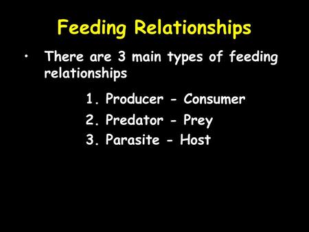 Feeding Relationships