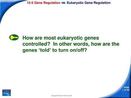 Eukaryotic Gene Regulation