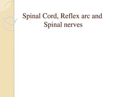 Spinal Cord, Reflex arc and Spinal nerves