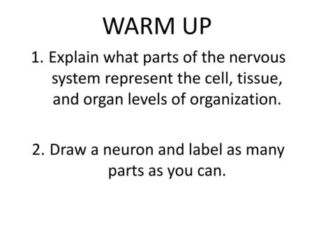 Draw a neuron and label as many parts as you can.