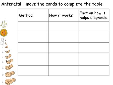 Antenatal – move the cards to complete the table