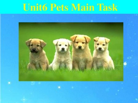 Unit6 Pets Main Task.