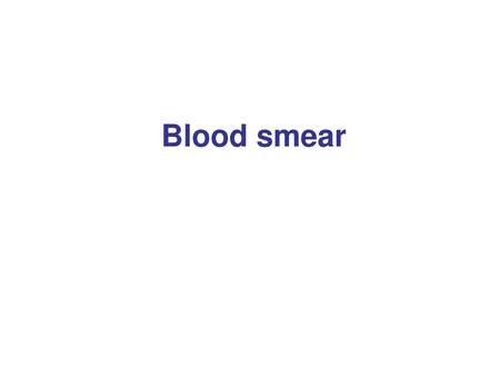 Blood smear.