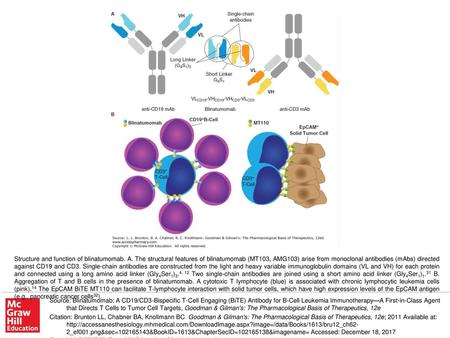 Structure and function of blinatumomab. A