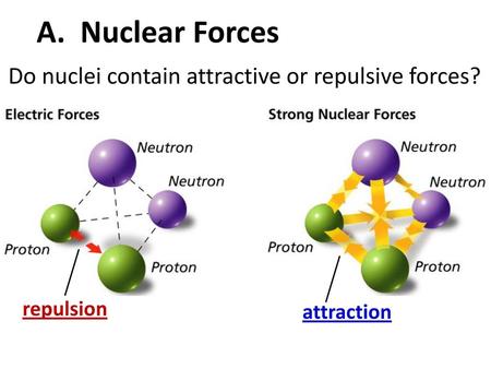 A. Nuclear Forces Do nuclei contain attractive or repulsive forces?