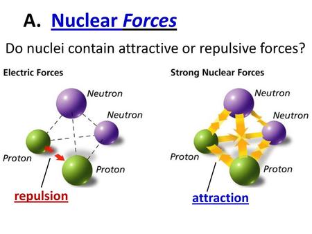 A. Nuclear Forces Do nuclei contain attractive or repulsive forces?