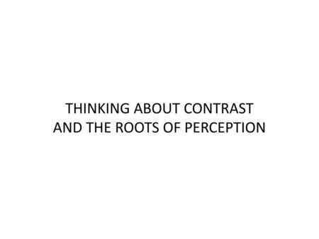 THINKING ABOUT CONTRAST AND THE ROOTS OF PERCEPTION